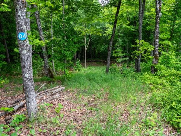 11 Allée du Lac-Bourget, La Minerve — photo 42