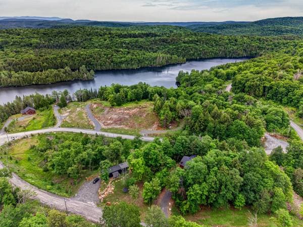 11 Allée du Lac-Bourget, La Minerve — photo 43