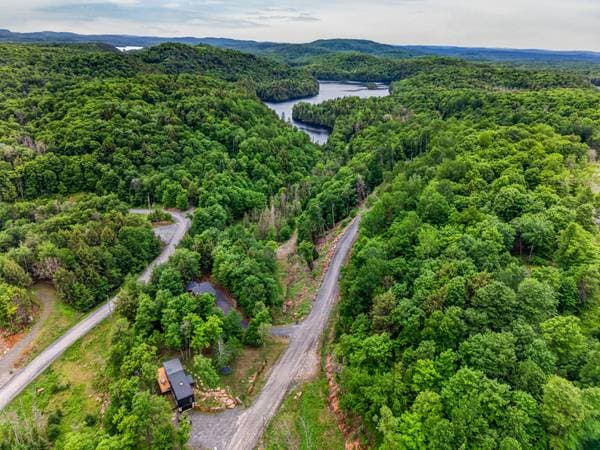 11 Allée du Lac-Bourget, La Minerve — photo 45