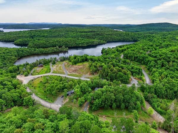11 Allée du Lac-Bourget, La Minerve — photo 47