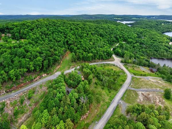 11 Allée du Lac-Bourget, La Minerve — photo 48