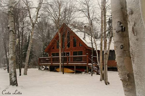 346 Ch. Chute-aux-Pins-Rouges, Kipawa — photo 36