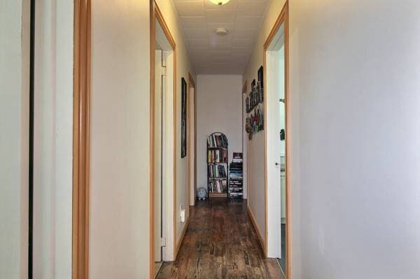 156 Route du Parc, Saint-Elzéar — photo 16