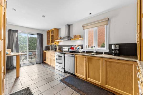 3090 -3096 Av. Gonthier, Montréal (Mercier/Hochelaga-Maisonneuve) — photo 10