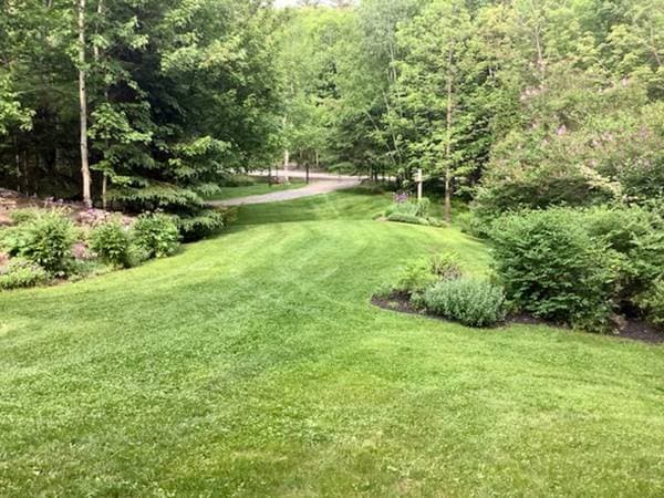 80 Ch. des Épinettes, Sainte-Anne-des-Lacs — photo 5