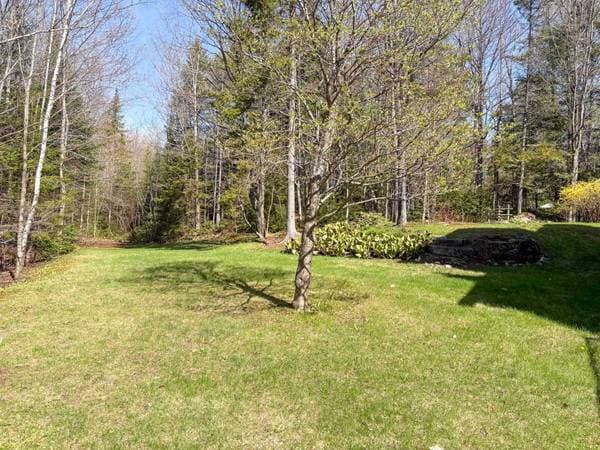 80 Ch. des Épinettes, Sainte-Anne-des-Lacs — photo 45