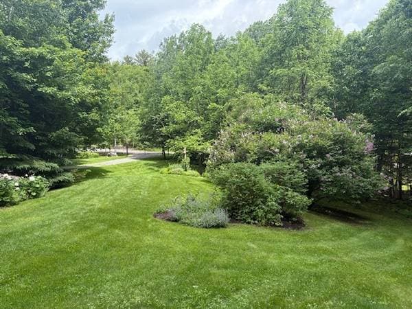 80 Ch. des Épinettes, Sainte-Anne-des-Lacs — photo 46