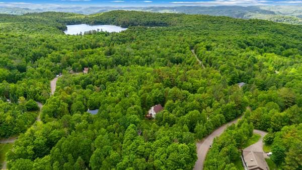 80 Ch. des Épinettes, Sainte-Anne-des-Lacs — photo 50