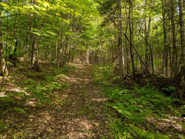 Mtée Manitonga, Lac-Supérieur — photo 2