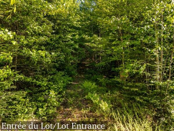 Mtée Manitonga, Lac-Supérieur — photo 6