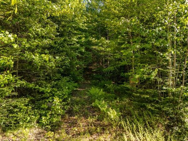 Mtée Manitonga, Lac-Supérieur — photo 7