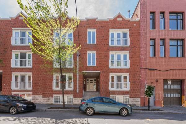 condo — 4540 Rue St-Dominique #3, Montréal (le Plateau-Mont-Royal)