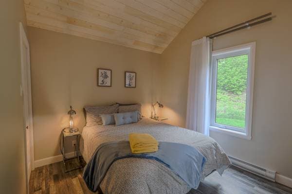 526 Ch. Marie-Roussin, Les Éboulements — photo 20