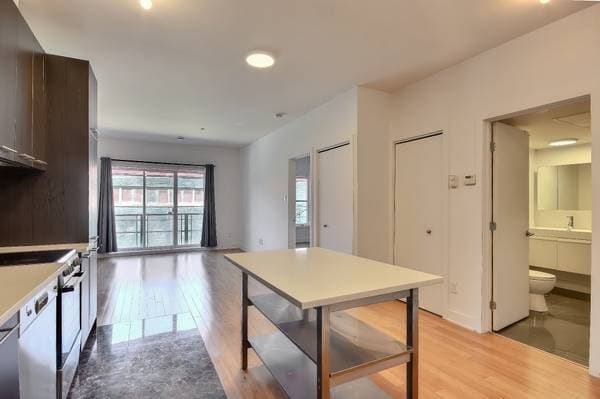 240 Rue Murray #204, Montréal (le Sud-Ouest) — photo 4