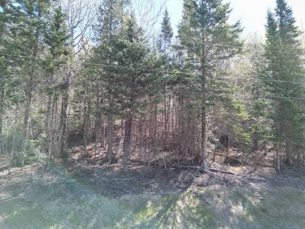 Ch. d'Escuminac N.-E., Escuminac — photo 15