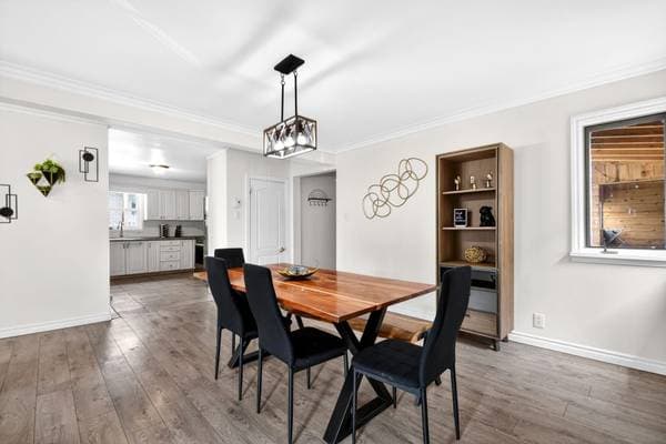 301 Av. d'Argenteuil, Lachute — photo 6