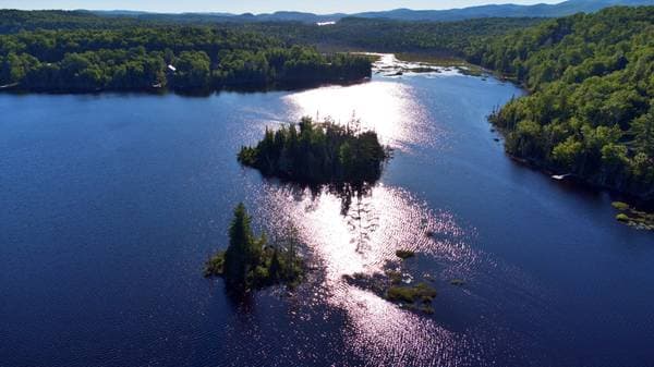 Lac Fidèle, Entrelacs — photo 4