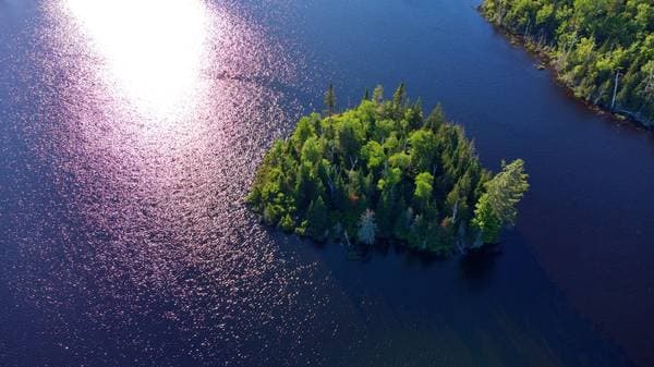 Lac Fidèle, Entrelacs — photo 8