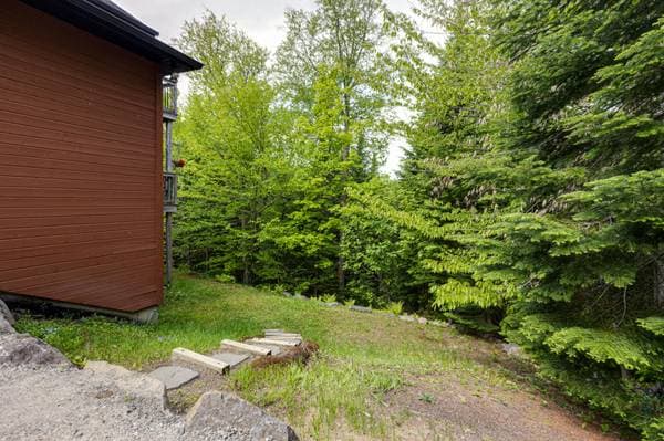 4230 Rue des Monarques, Sainte-Adèle — photo 54