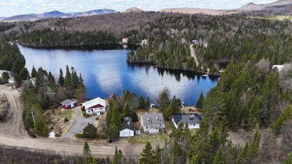 68 Ch. du Lac-à-l'Île, Val-des-Lacs — photo 3