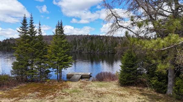 68 Ch. du Lac-à-l'Île, Val-des-Lacs — photo 36