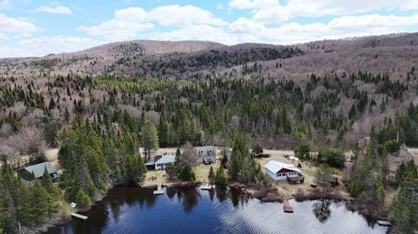 68 Ch. du Lac-à-l'Île, Val-des-Lacs — photo 38