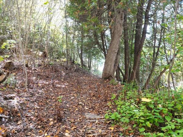 Route de Miguasha O., Nouvelle — photo 9