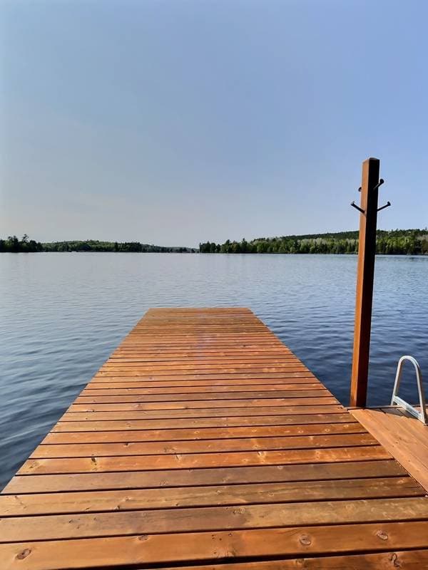 45 Ch. de la Pointe-aux-Cèdres, Kipawa — photo 60