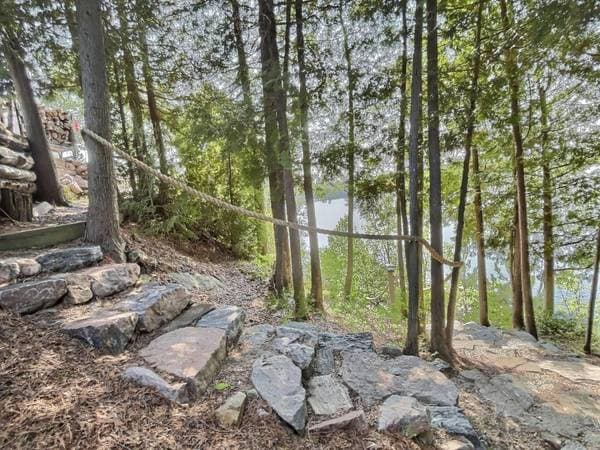 45 Ch. de la Pointe-aux-Cèdres, Kipawa — photo 63