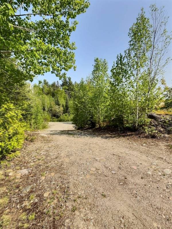 45 Ch. de la Pointe-aux-Cèdres, Kipawa — photo 80