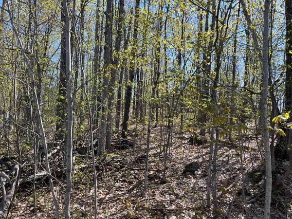 Rg Double, Saint-Lin/Laurentides — photo 3