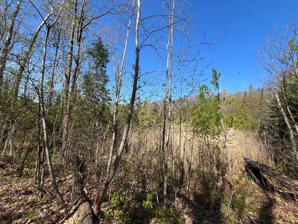 Rg Double, Saint-Lin/Laurentides — photo 6