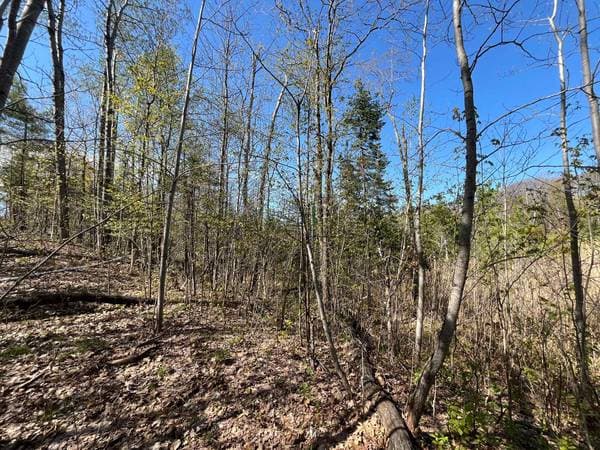 Rg Double, Saint-Lin/Laurentides — photo 7