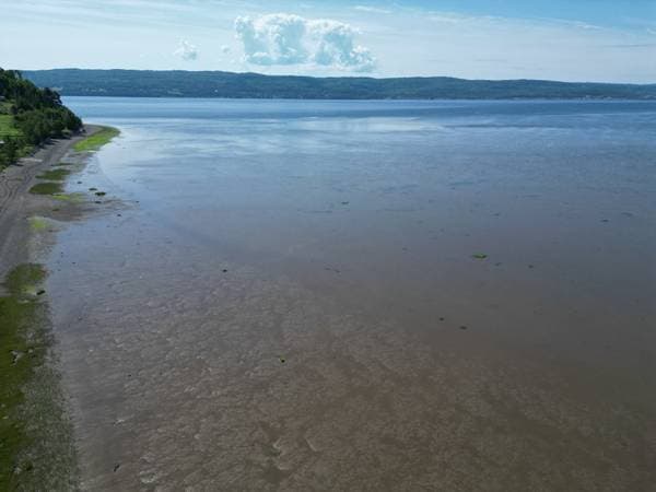 104 Ch. de la Baie-au-Chêne, Pointe-à-la-Croix — photo 7