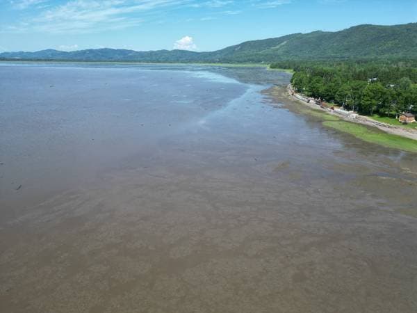 104 Ch. de la Baie-au-Chêne, Pointe-à-la-Croix — photo 82