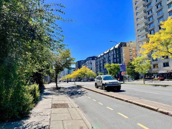 1098 Rue St-Timothée, Montréal (Ville-Marie) — photo 17