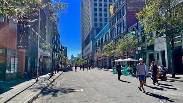 1098 Rue St-Timothée, Montréal (Ville-Marie) — photo 18