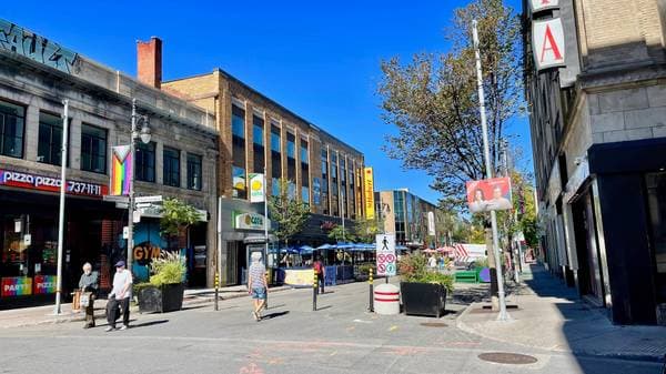 1098 Rue St-Timothée, Montréal (Ville-Marie) — photo 19