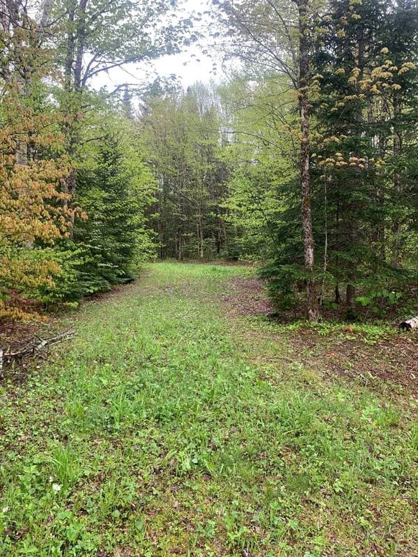 50 Ch. Josée, Notre-Dame-des-Bois — photo 2