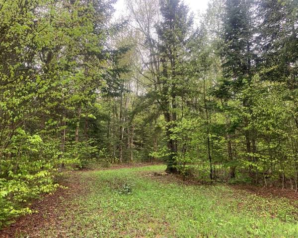 50 Ch. Josée, Notre-Dame-des-Bois — photo 3