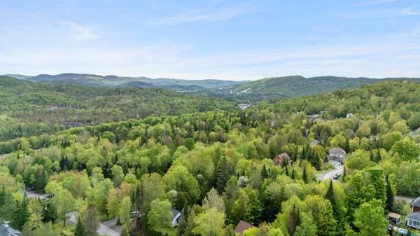 30 Ch. de Fribourg, Saint-Sauveur — photo 61
