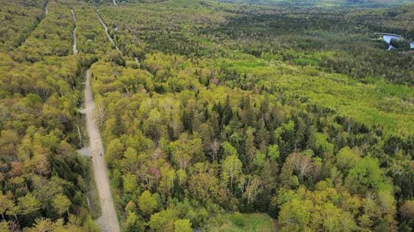 Ch. de l'Ours, Notre-Dame-des-Bois — photo 4