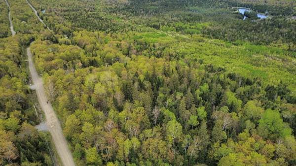 Ch. de l'Ours, Notre-Dame-des-Bois — photo 5