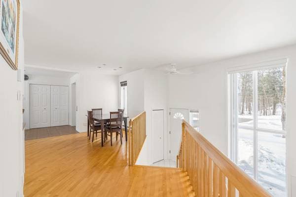 3460 Rue des Campanules, Notre-Dame-du-Mont-Carmel — photo 14