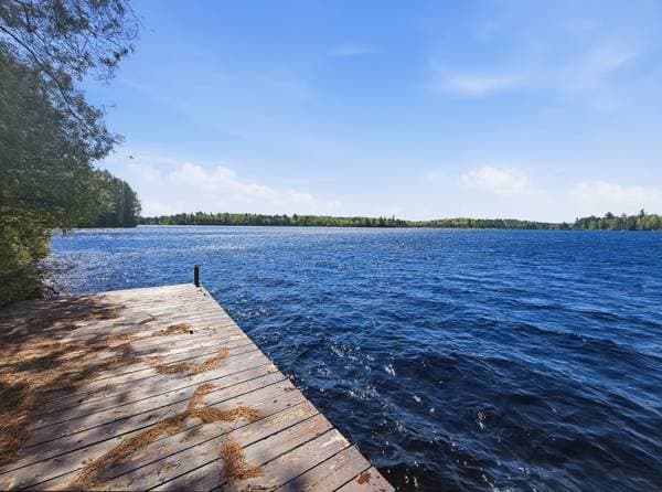 47 Ch. de la Pointe-aux-Cèdres, Kipawa — photo 49
