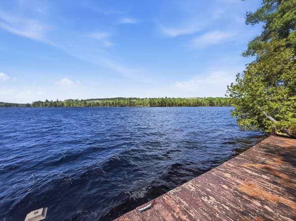 47 Ch. de la Pointe-aux-Cèdres, Kipawa — photo 50