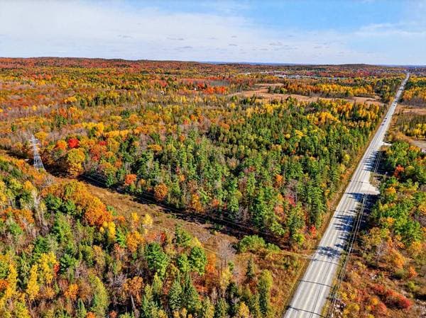 Ch. Pink, Gatineau (Aylmer) — photo 3