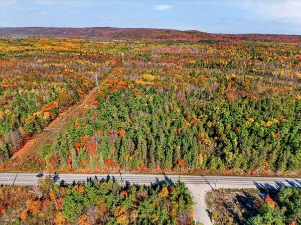 Ch. Pink, Gatineau (Aylmer) — photo 4