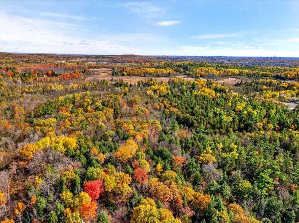 Ch. Pink, Gatineau (Aylmer) — photo 9