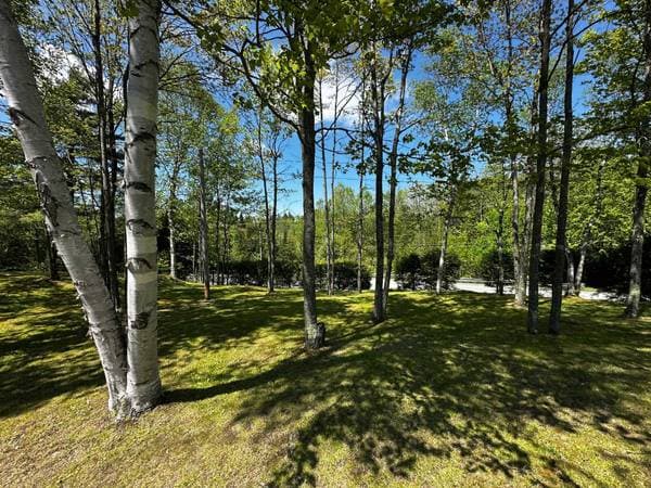 1422 Ch. St-Roch N., Sherbrooke (Brompton/Rock Forest/Saint-Élie/Deauville) — photo 29